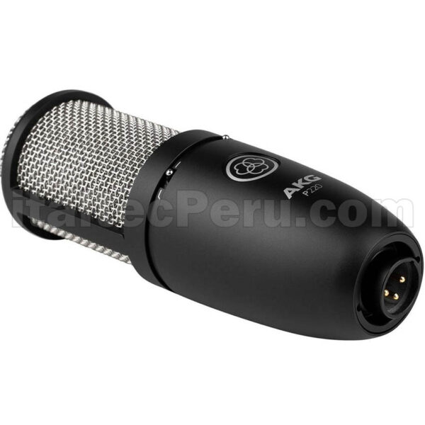 AKG P220